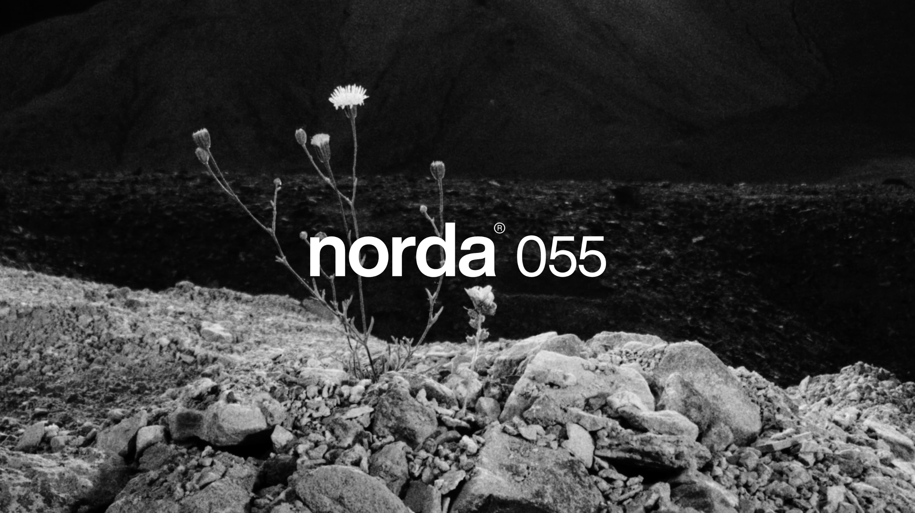 NORDA 055 image